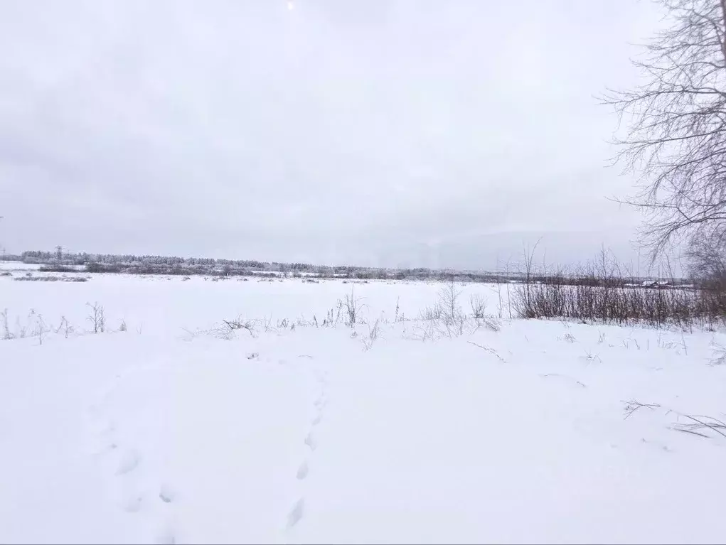 Участок в Ленинградская область, Волховский район, Староладожское ... - Фото 1