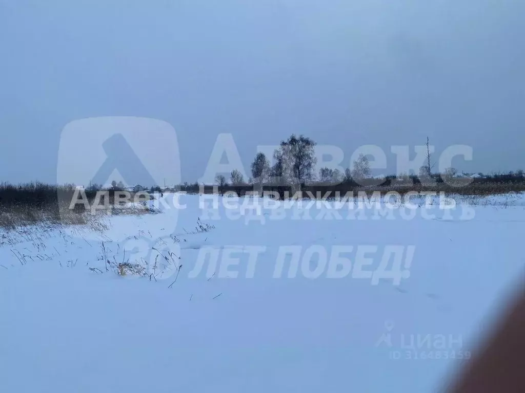 Участок в Тюменская область, Тюмень Садовое товарищество Липовый ... - Фото 2