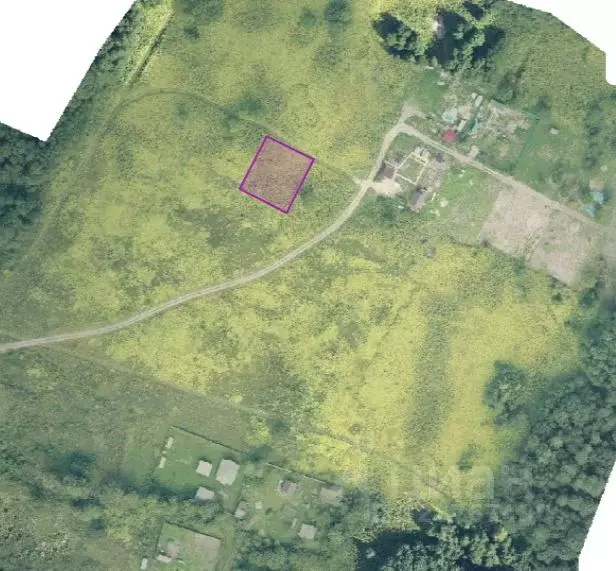 Участок в Ленинградская область, Волосовский район, Бегуницкое с/пос, ... - Фото 2