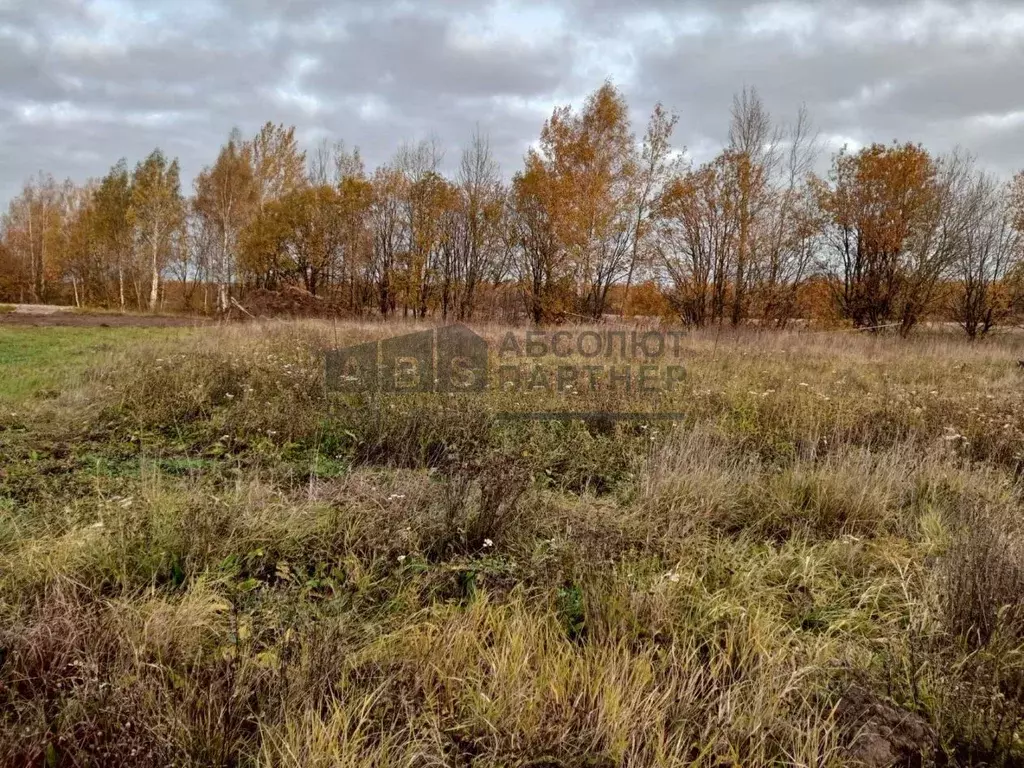 Участок в Новгородская область, Новгородский район, Савинское с/пос, ... - Фото 1