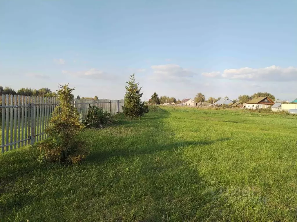 Участок в Башкортостан, Янаульский район, Кармановский сельсовет, с. ... - Фото 1