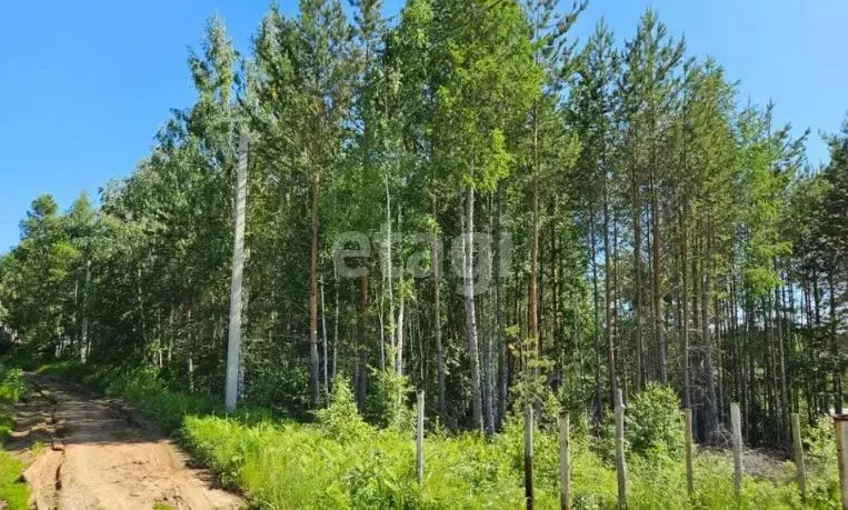 Участок в Иркутская область, Шелехов Известковая ул. (50.0 сот.) - Фото 1