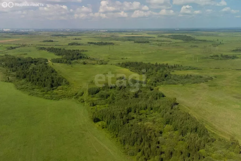 Участок в Тюменский район, село Яр (30.3 м) - Фото 1