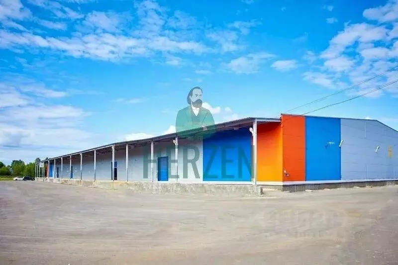 Производственное помещение в Московская область, Богородский городской ... - Фото 1