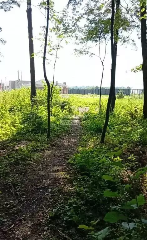 Участок в Одинцовский городской округ, деревня Лапино (8.23 м) - Фото 1