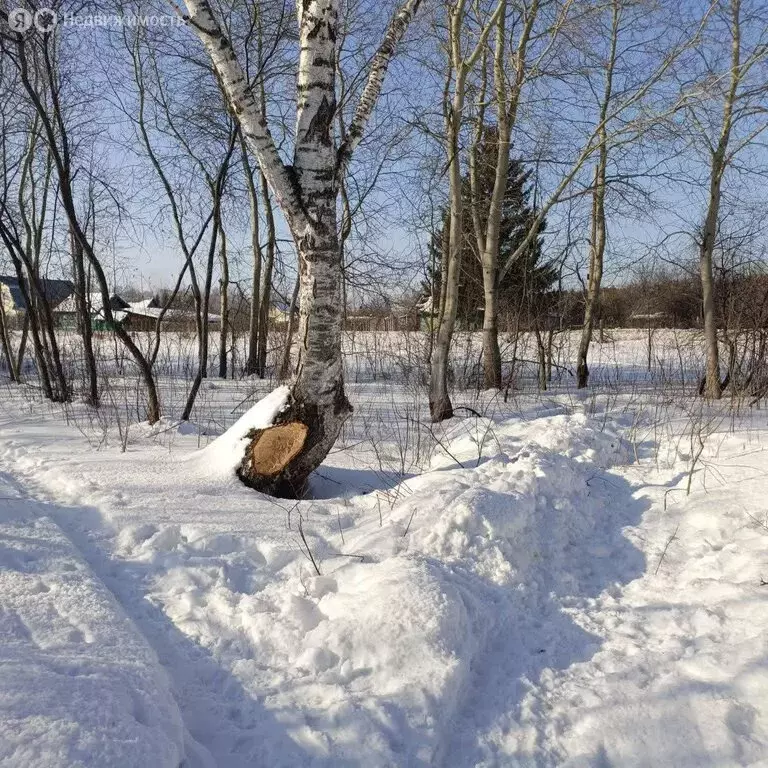 Участок в Свердловская область, Тугулымский муниципальный округ, ... - Фото 1