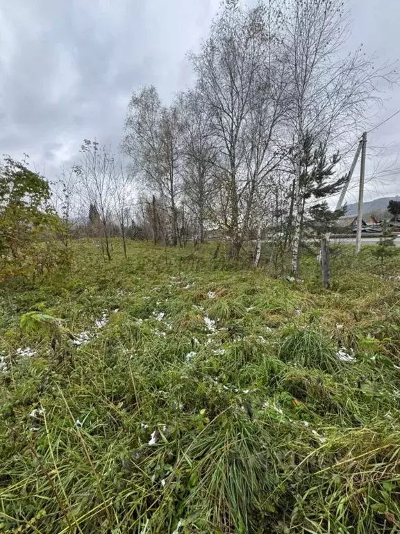 Участок в Алтай, Майминский район, с. Соузга Трактовая ул., 86 (15.0 ... - Фото 1