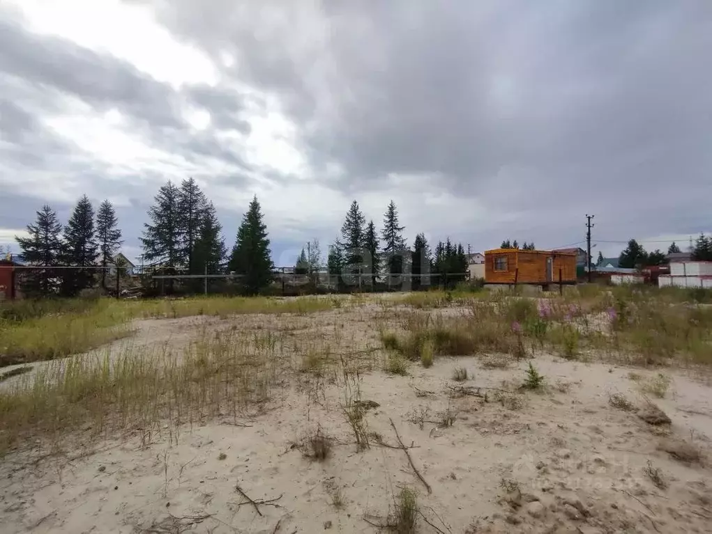 Участок в Ямало-Ненецкий АО, Новый Уренгой Северный Берег ДНТ, ул. 4-я ... - Фото 1