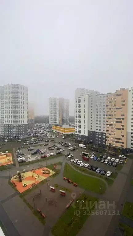 Студия Санкт-Петербург дор. Муринская, 25к2 (20.4 м) - Фото 2