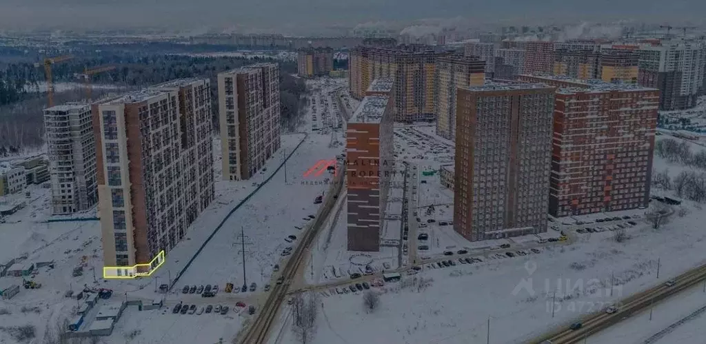 Торговая площадь в Московская область, Балашиха Новое Павлино мкр, ш. ... - Фото 1