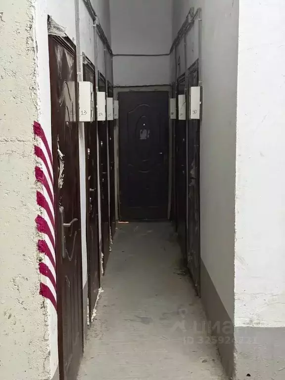 Помещение свободного назначения в Краснодарский край, Геленджик ул. ... - Фото 2