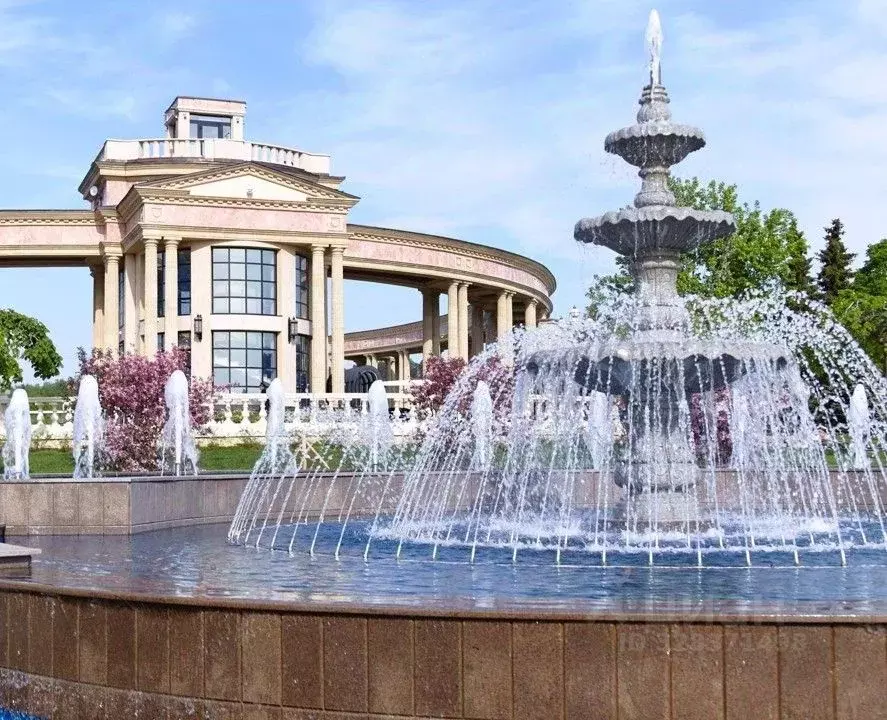 Участок в Московская область, Истра муниципальный округ, д. Чесноково, ... - Фото 2