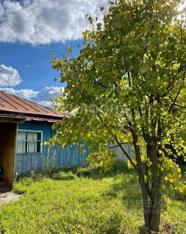 Дом в Новосибирская область, Ордынский район, с. Кирза ул. Мордакина ... - Фото 1