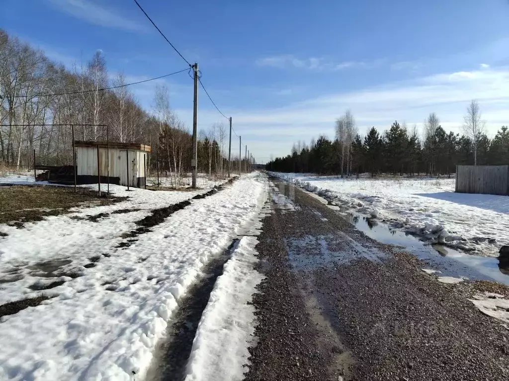 Участок в Курганская область, Шадринский муниципальный округ, с. Ключи ... - Фото 1
