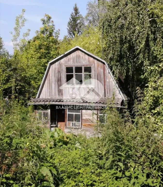 Дом в Новосибирская область, Новосибирск СНТ Весна Сибири тер., 76 (40 ... - Фото 1