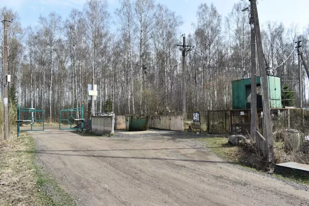 Участок в Ленинградская область, Всеволожский район, Рахьинское ... - Фото 1