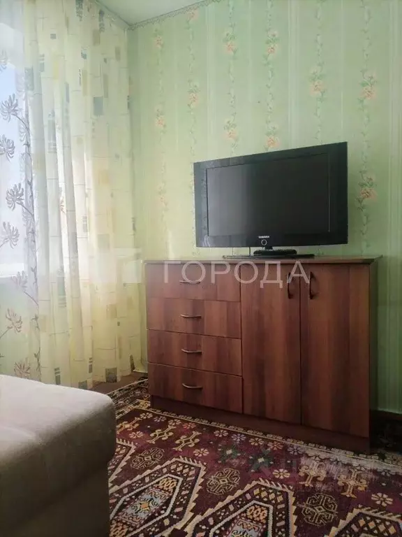 3-к кв. Новосибирская область, Новосибирск ул. Бориса Богаткова, 165 ... - Фото 1