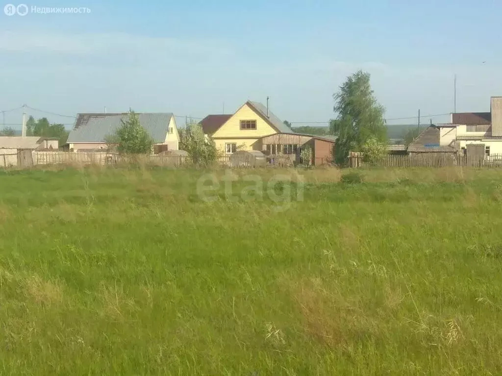 Участок в Ордынский район, село Красный Яр (15.79 м) - Фото 1