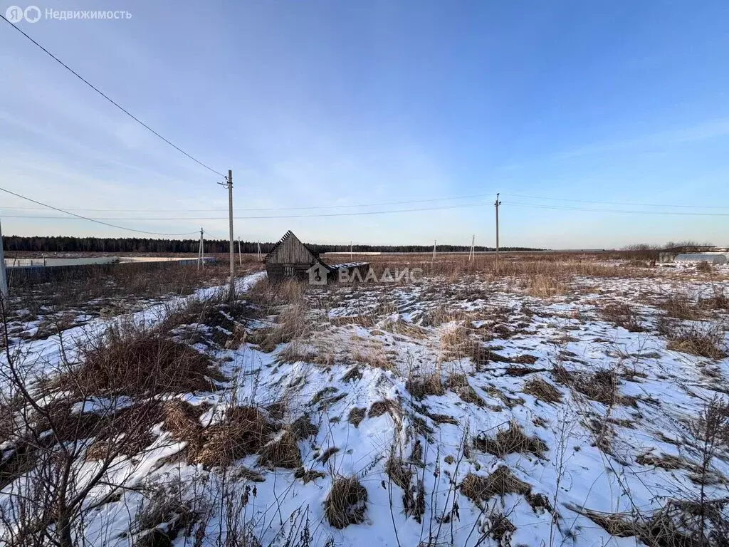 Участок в муниципальное образование Новосельское, деревня Сычёво (14.5 ... - Фото 0