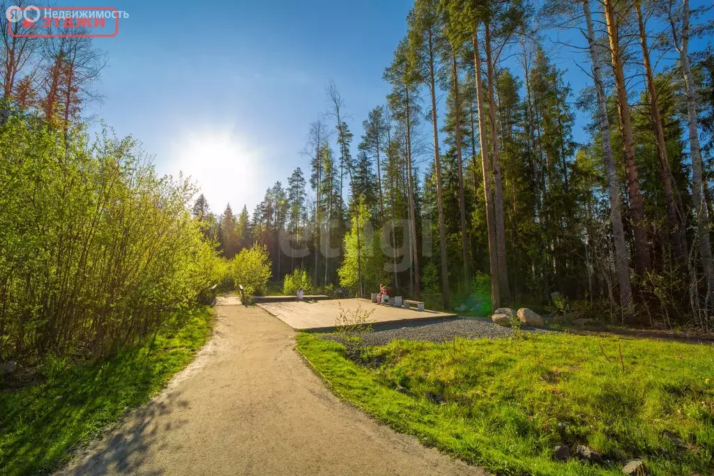 1-комнатная квартира: Петрозаводск, Чистая улица, 3 (39.83 м) - Фото 2