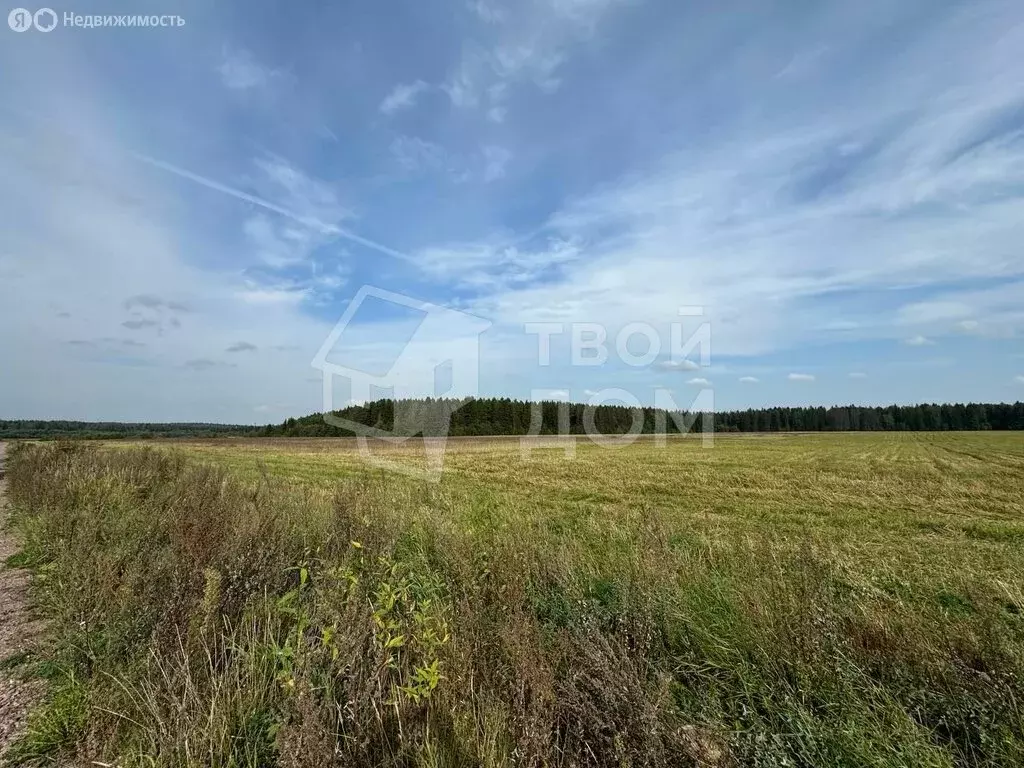 Участок в Ленинградская область, Гатчинский муниципальный округ, ... - Фото 2