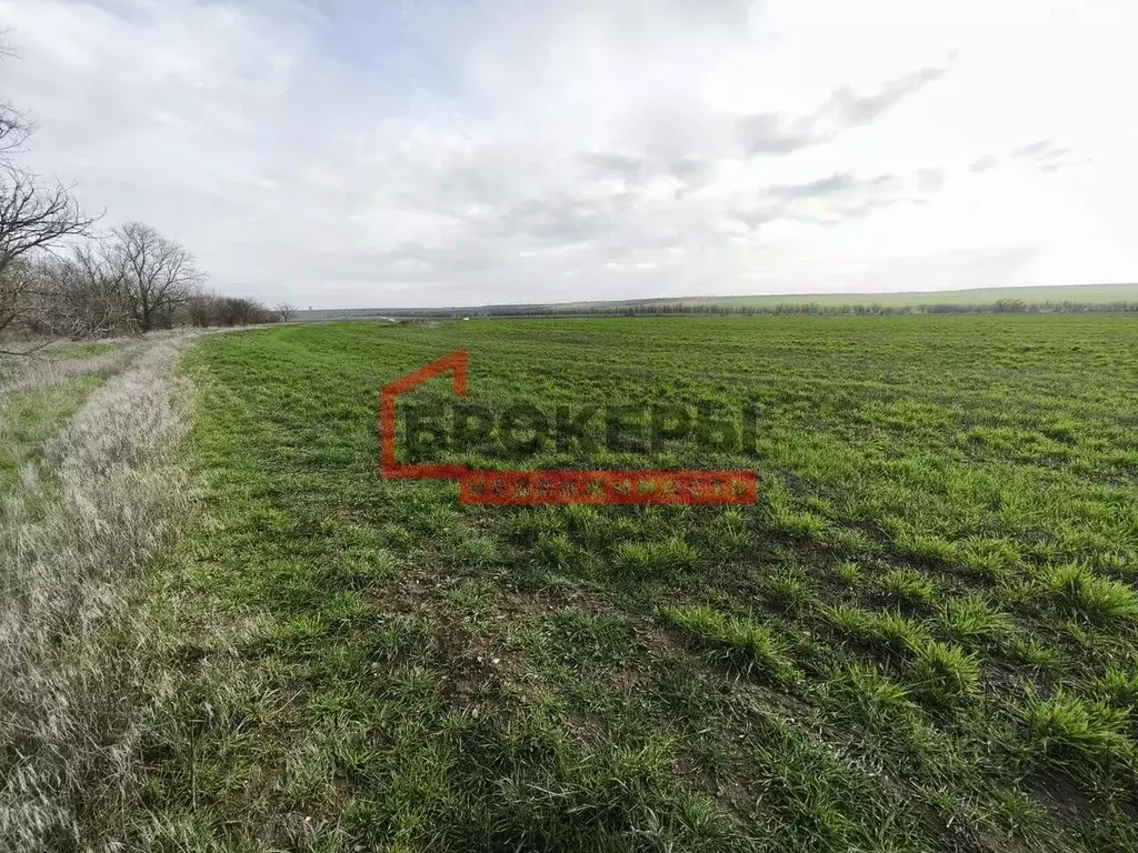 Участок в Крым, Сакский район, Ивановское с/пос, с. Жаворонки ул. ... - Фото 2