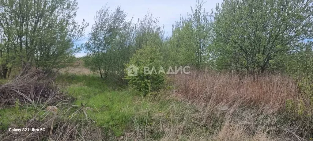 Участок в Калининградская область, Зеленоградский муниципальный округ, ... - Фото 0