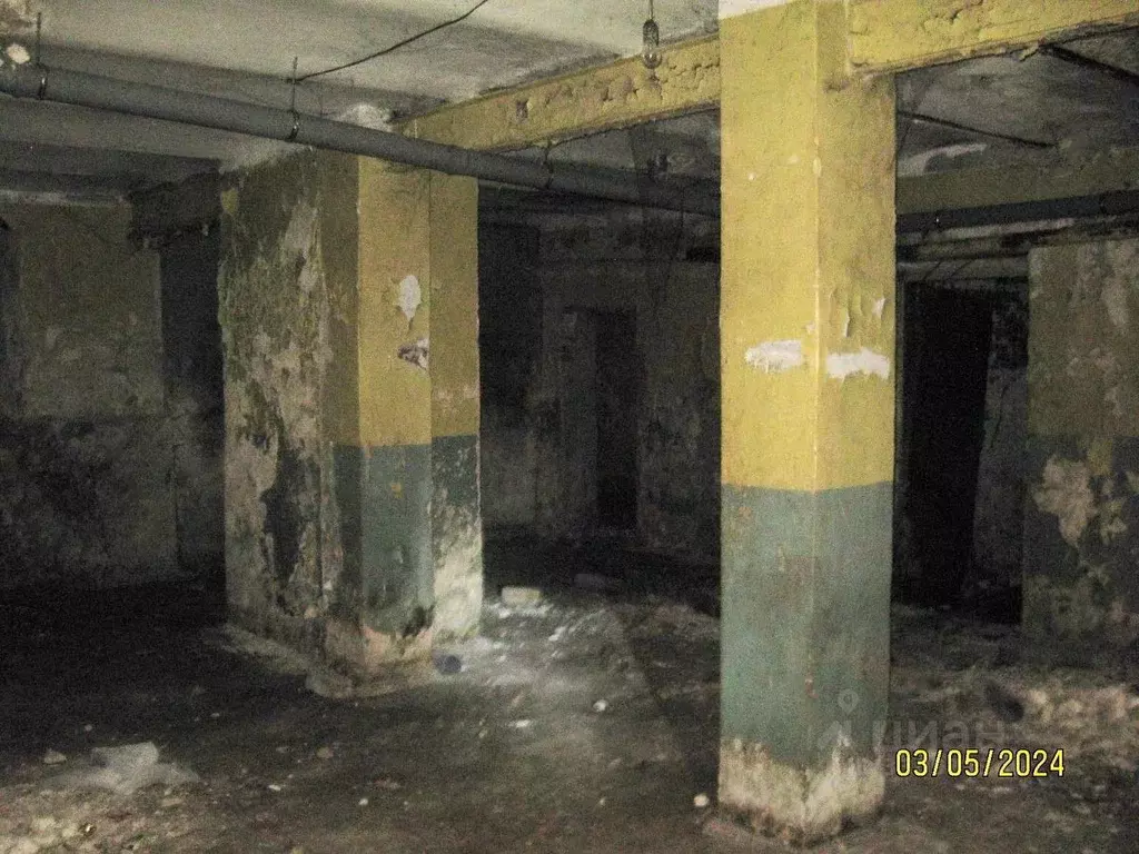 Помещение свободного назначения в Нижегородская область, Нижний ... - Фото 1
