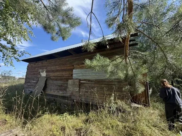 Участок в Новосибирская область, Сузун рп ул. Зайцева, 10 (9.1 сот.) - Фото 2
