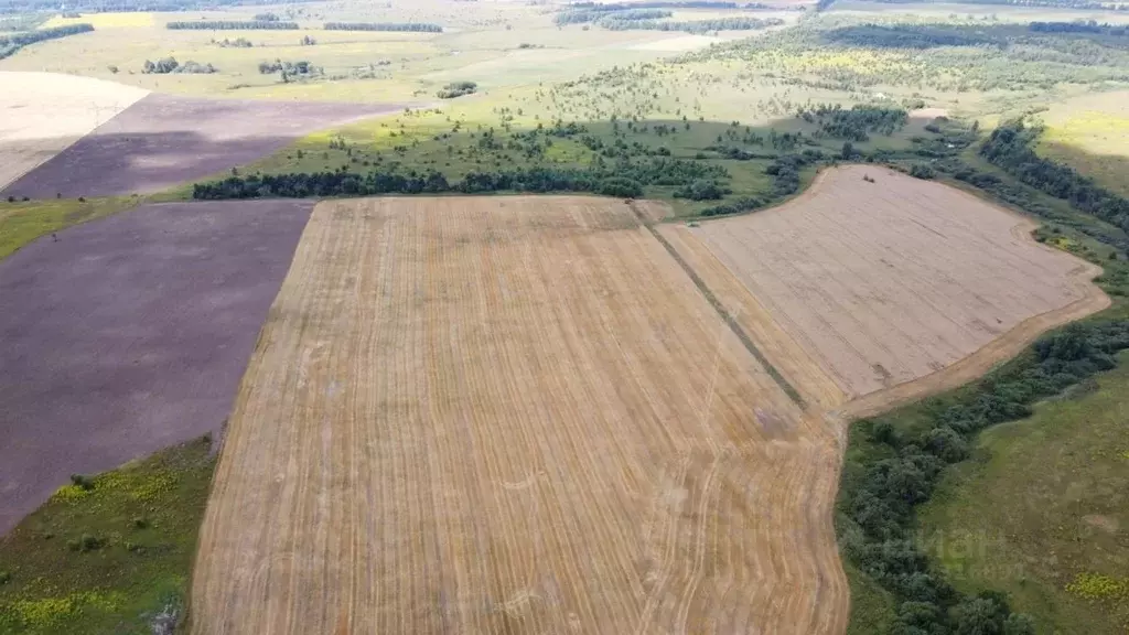 Участок в Тульская область, Заокский район, Малаховское с/пос  (29.0 ... - Фото 1