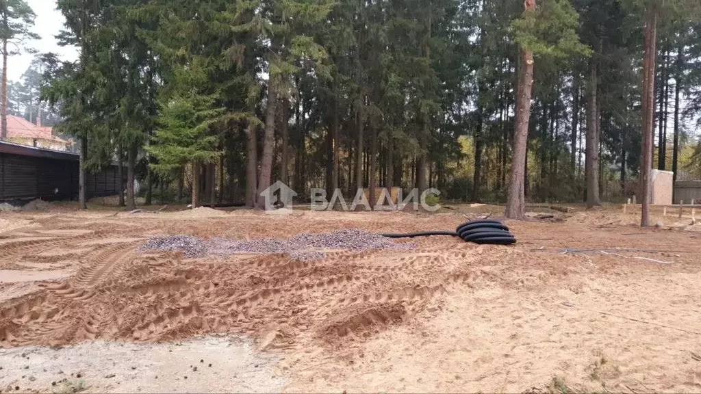Участок в Ленинградская область, Всеволожск просп. Тургенева (12.0 ... - Фото 1