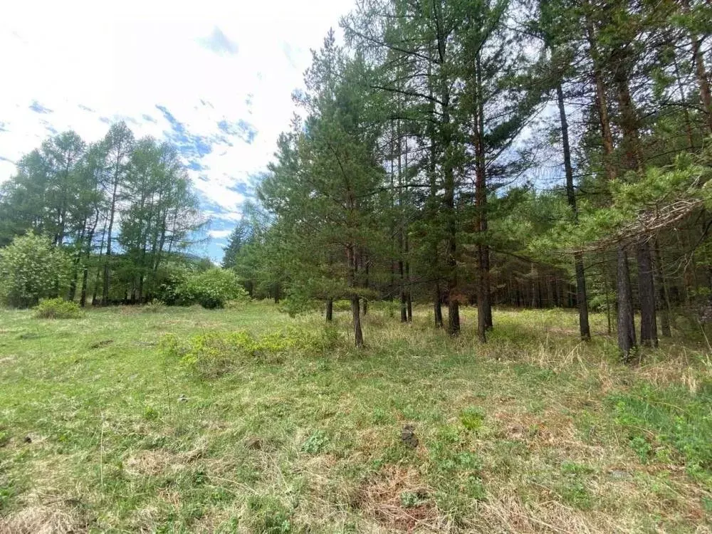 Участок в Иркутская область, Иркутский муниципальный округ, пос. ... - Фото 2