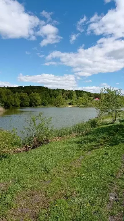 Участок в Саратовская область, Татищевский район, Ягодно-Полянское ... - Фото 0