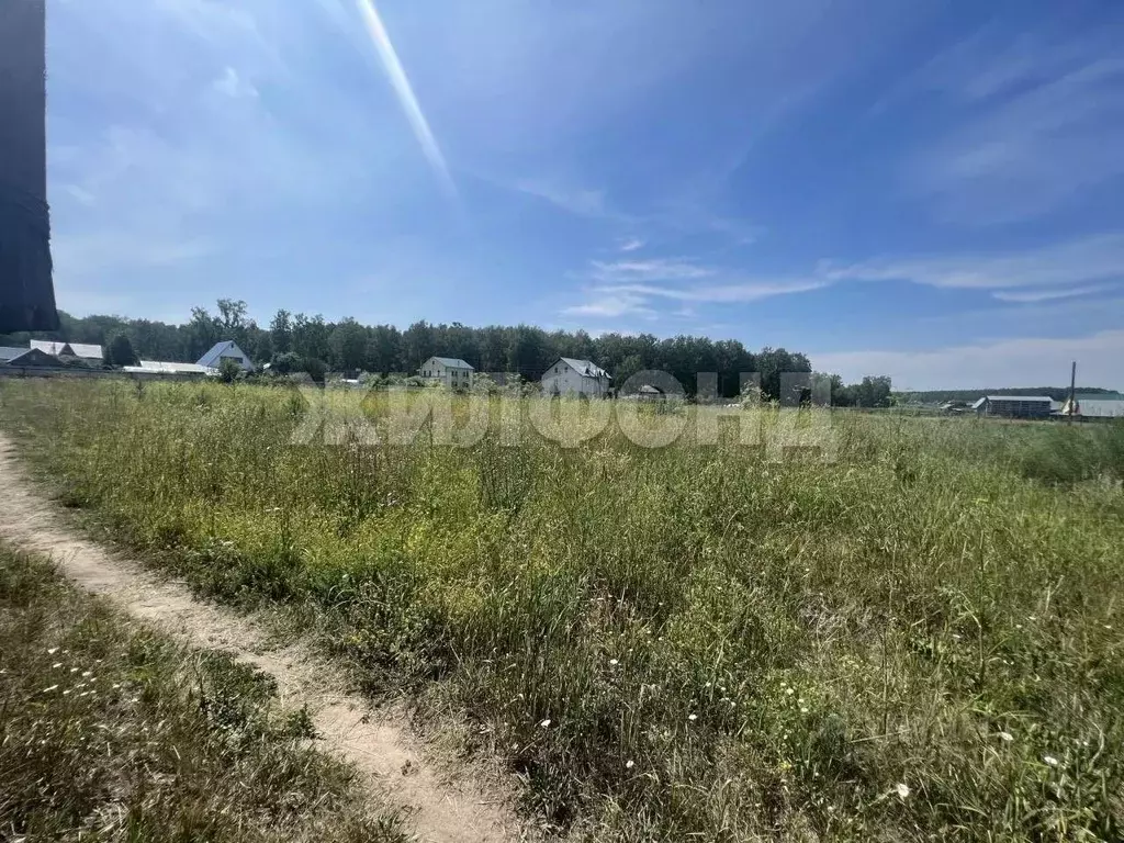 Участок в Алтайский край, Барнаул городской округ, пос. Мохнатушка ул. ... - Фото 1