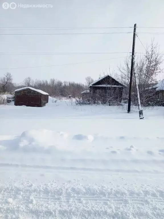 Дом в село Нижнекаменка, улица 60 лет Октября (27.5 м) - Фото 2