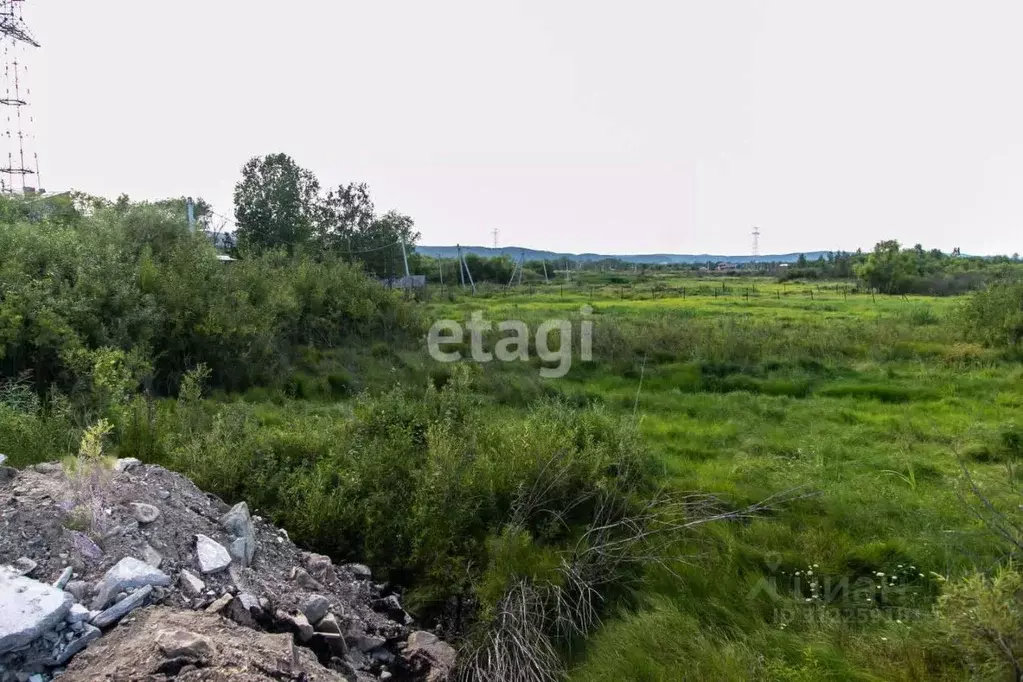 Участок в Амурская область, Благовещенский район, с. ... - Фото 1