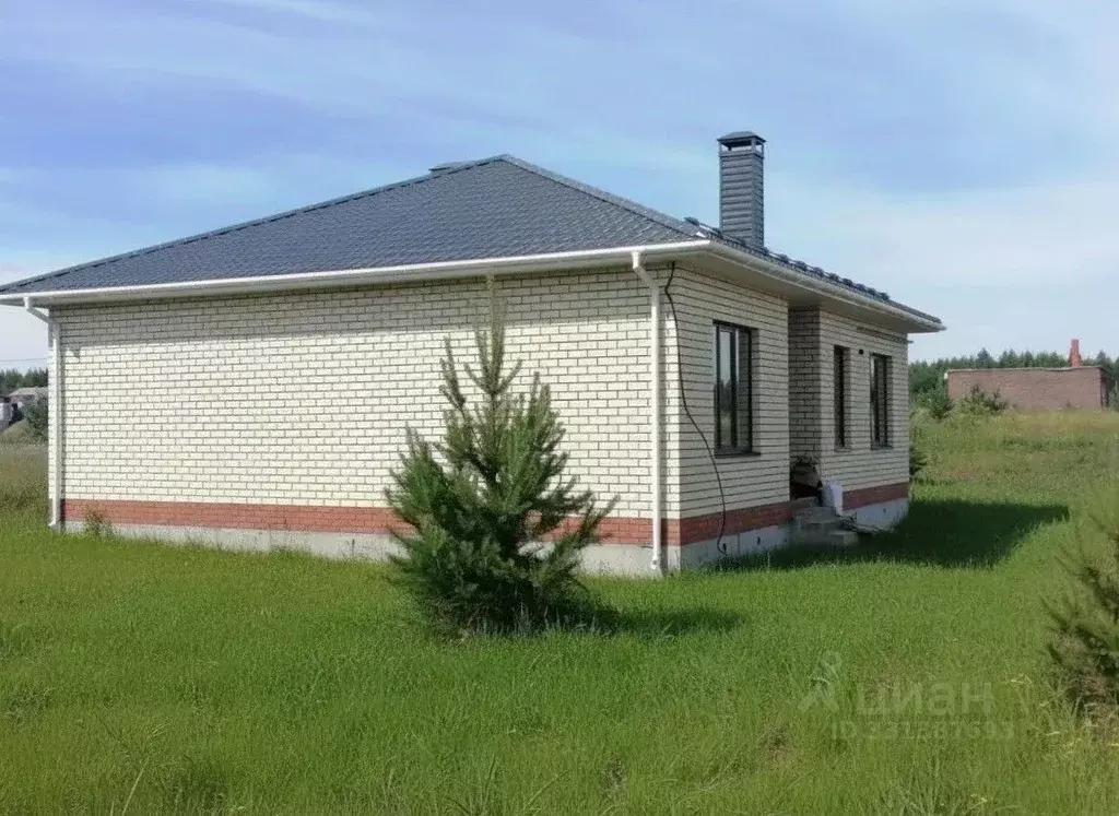 Дом в Татарстан, с. Пестрецы ул. Гаврилова (130 м) - Фото 1