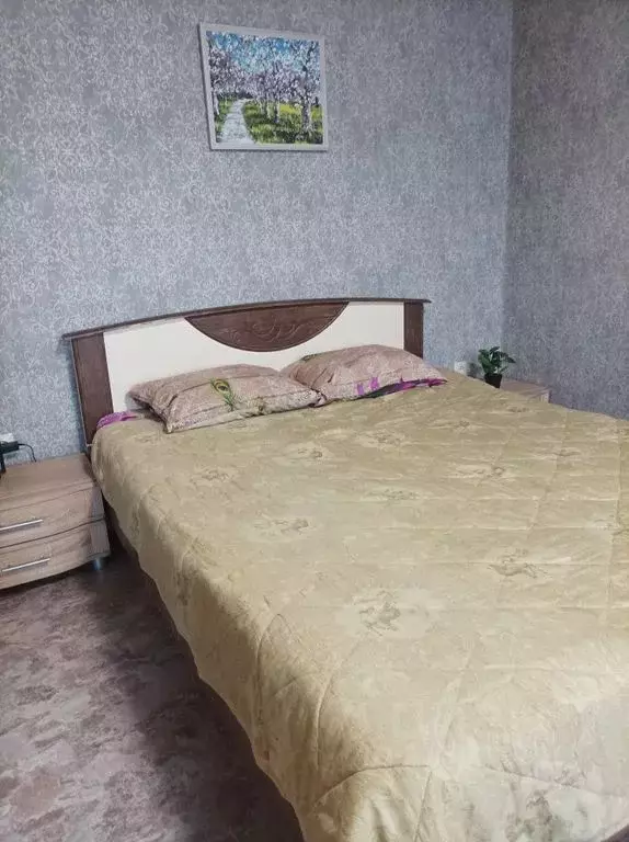 1-к кв. Челябинская область, Челябинск ул. Доватора, 24 (33.0 м) - Фото 0