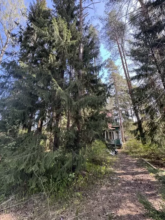Участок в Ленинградская область, Выборгский район, Рощино пгт ул. ... - Фото 0