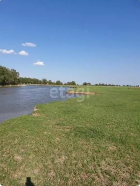 Участок в Астраханская область, Володарский район, с. Козлово ул. 30 ... - Фото 0