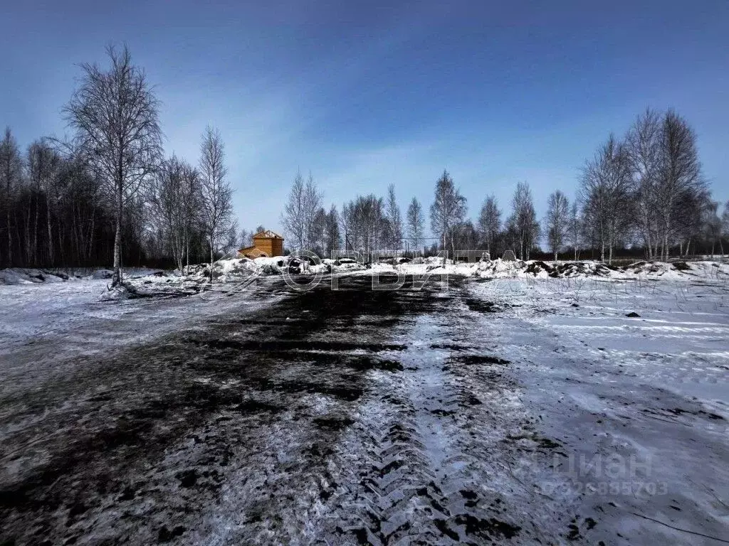 Участок в Тюменская область, Тюмень Яровское садовое товарищество, ул. ... - Фото 2
