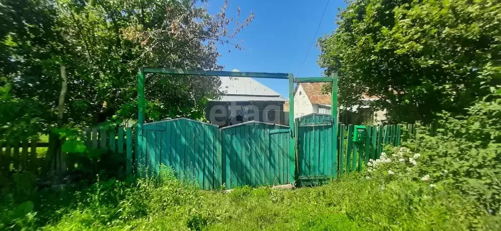 Дом в Липецкая область, Усманский муниципальный округ, с. Кривка ул. ... - Фото 1