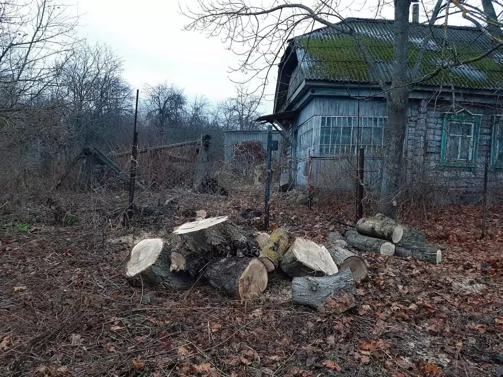 Дом в Тульская область, Алексинский район, д. Мазалки  (22 м) - Фото 0