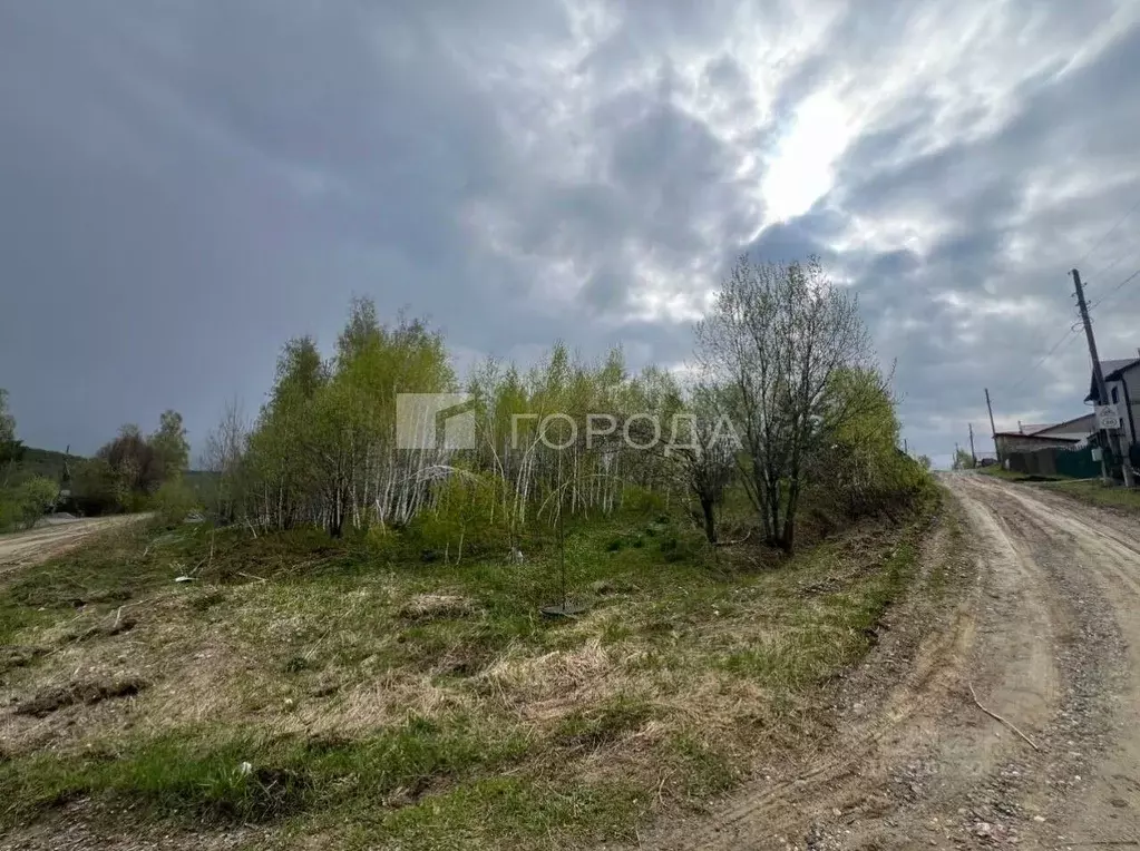 Участок в Новосибирская область, Новосибирский район, Барышевский ... - Фото 1