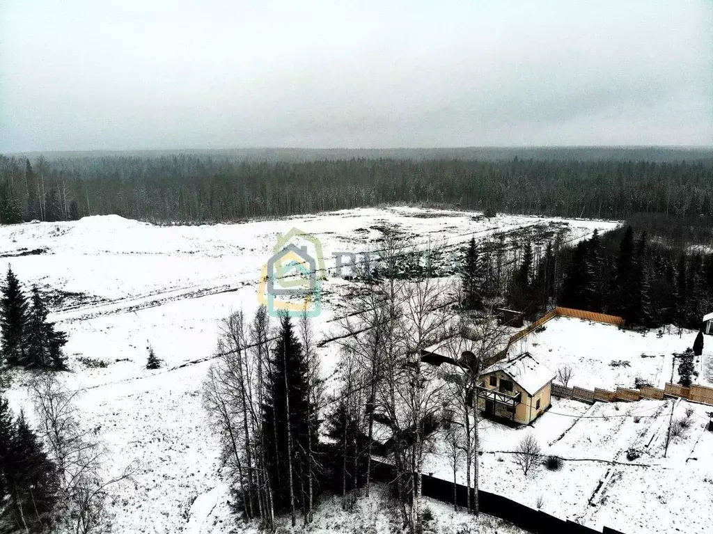 Участок в Ленинградская область, Всеволожский район, Лесколовское ... - Фото 2