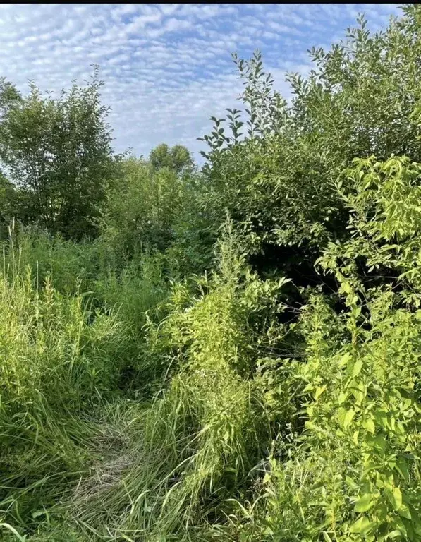 Участок в Свердловская область, Верхняя Пышма городской округ, д. ... - Фото 1
