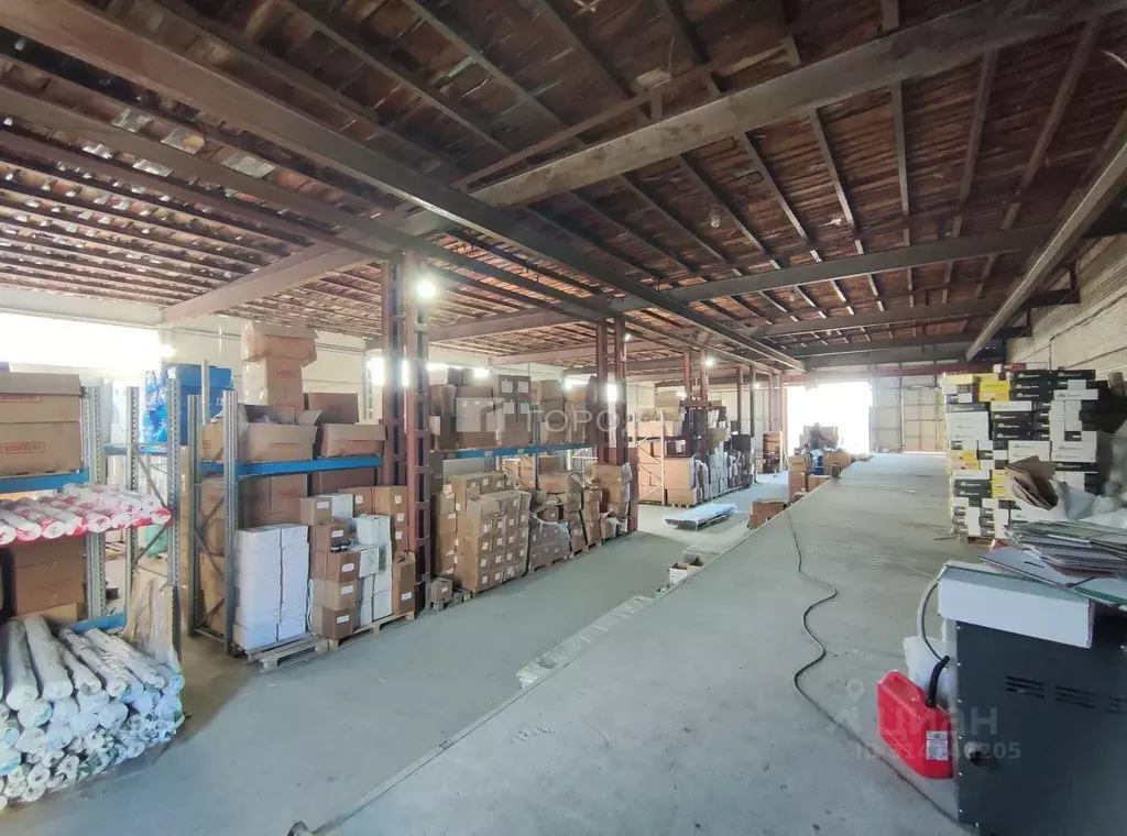 Помещение свободного назначения в Новосибирская область, Новосибирск ... - Фото 2