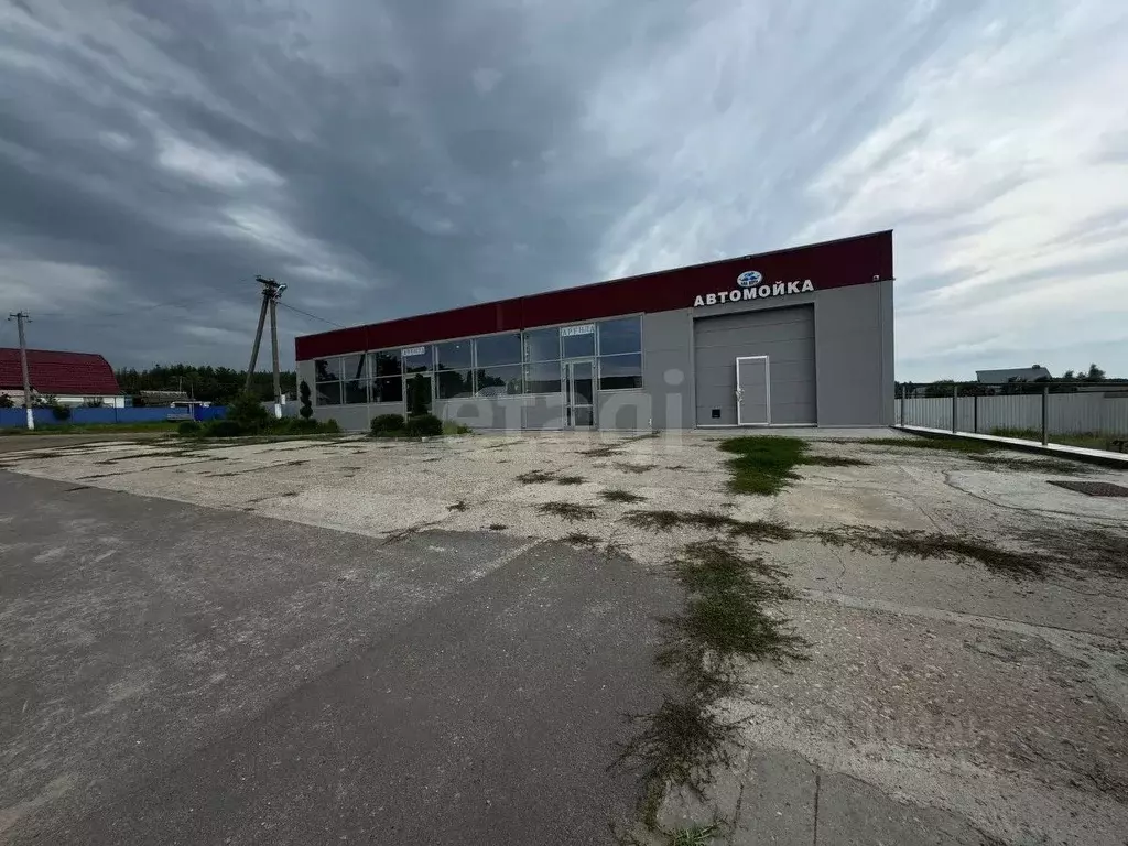 Торговая площадь в Саратовская область, Балашовский район, с. Репное ... - Фото 1