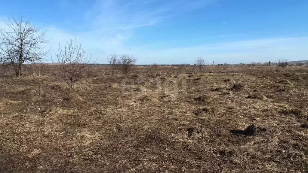 Участок в Алтайский край, Советский район, с. Платово  (12.0 сот.) - Фото 1