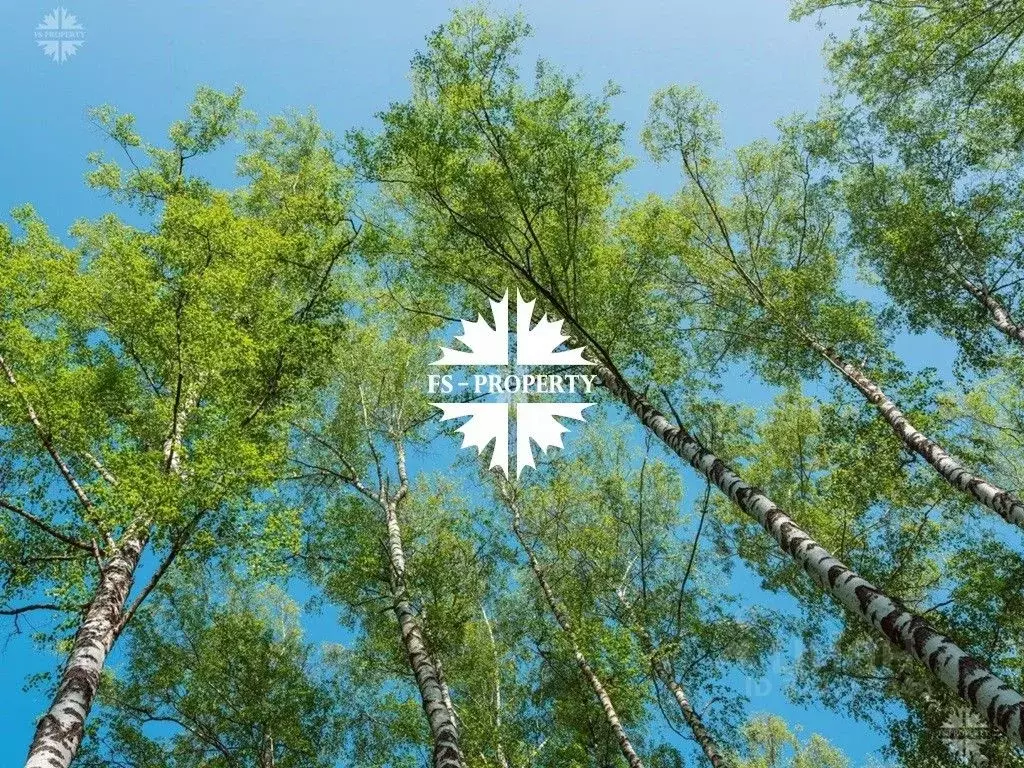 Участок в Московская область, Одинцовский городской округ, пос. ... - Фото 2